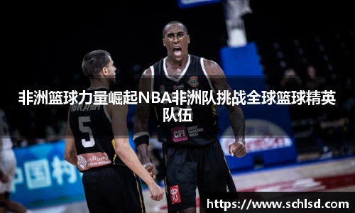 非洲篮球力量崛起NBA非洲队挑战全球篮球精英队伍